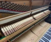 Take Over A Running Piano Business In Singapore image 12
