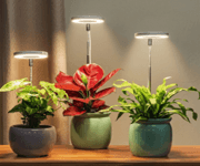 Successful Home & Lifestyle E-Commerce Brand For Sale image 2