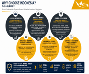 Investment Project Layer Chicken Farm Project In Indonesia Bintan Tg Pinang image 5