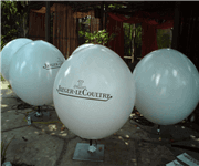 Balloon Company image 2
