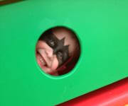 Childs Play Mobile Maze image 10