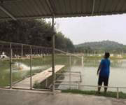 钓鱼塘转让 image 6